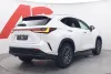 Lexus NX 450h+ AWD Executive - Uusi auto heti toimitukseen Thumbnail 5